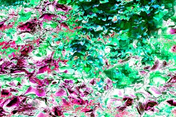 AP 163A1